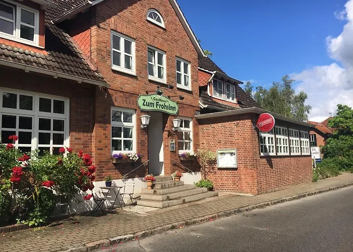 宾馆 Zum Frohsinn 3*