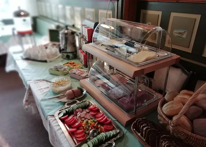 宾馆 Zum Frohsinn 3*